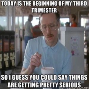 473bea27d8573cfc18ef201ab7a64b13